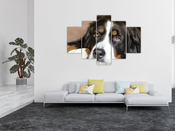 Tablou cu câine (150x105 cm)