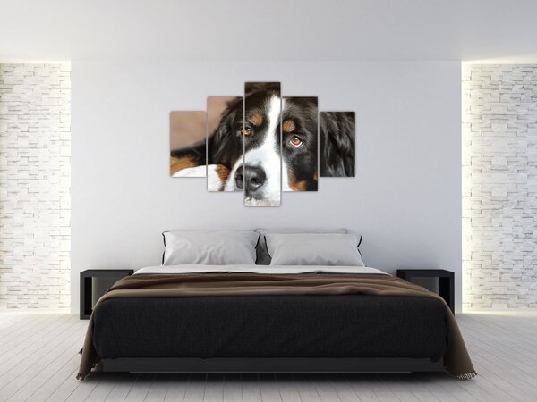 Tablou cu câine (150x105 cm)
