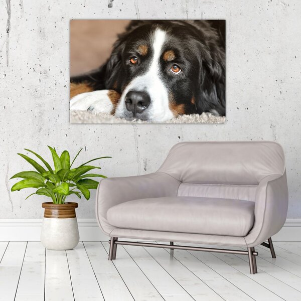 Tablou cu câine (90x60 cm)