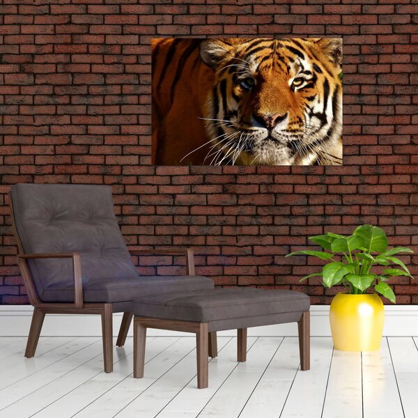 Tablou cu tigrul (90x60 cm)