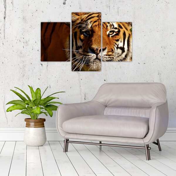 Tablou cu tigrul (90x60 cm)