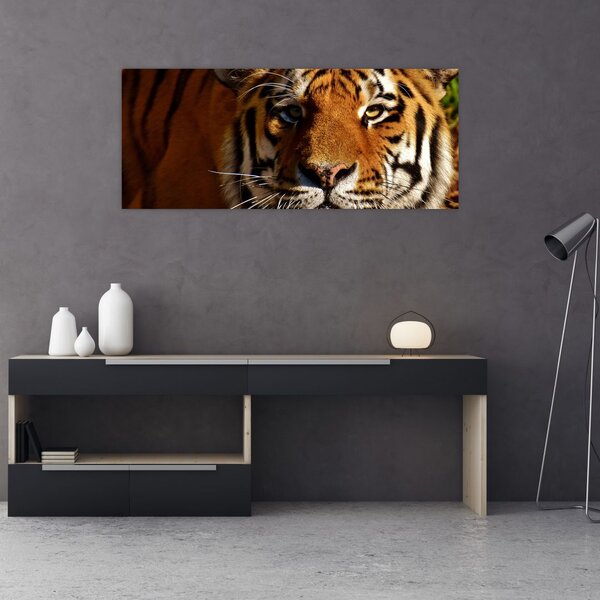 Tablou cu tigrul (120x50 cm)