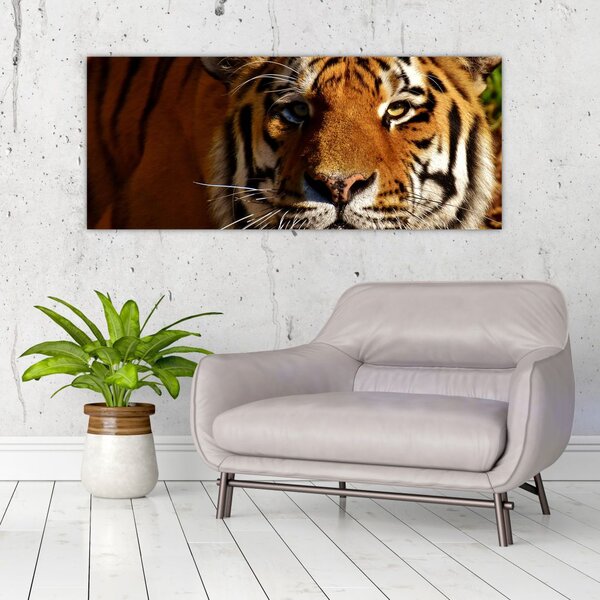 Tablou cu tigrul (120x50 cm)