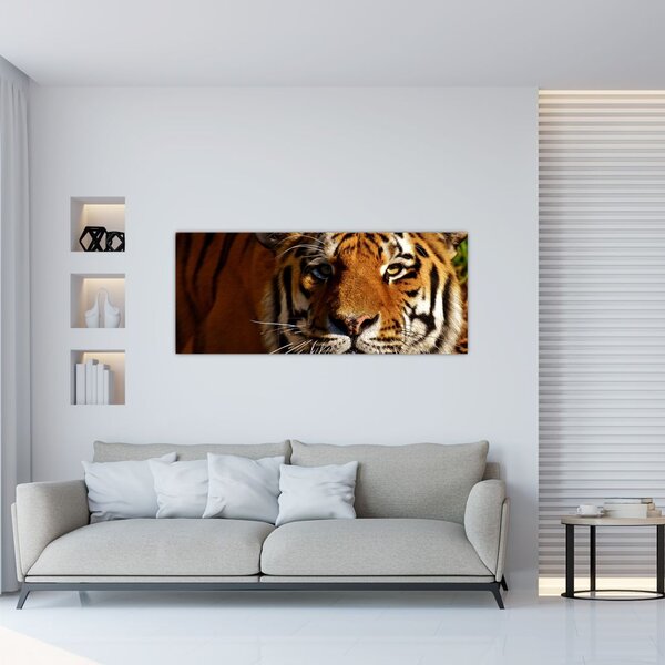 Tablou cu tigrul (120x50 cm)