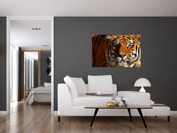 Tablou cu tigrul (90x60 cm)