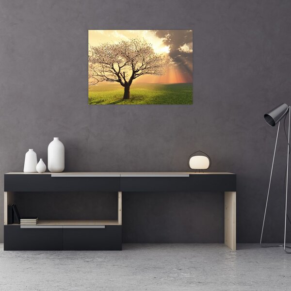 Tablou cu copac pe luncă (70x50 cm)