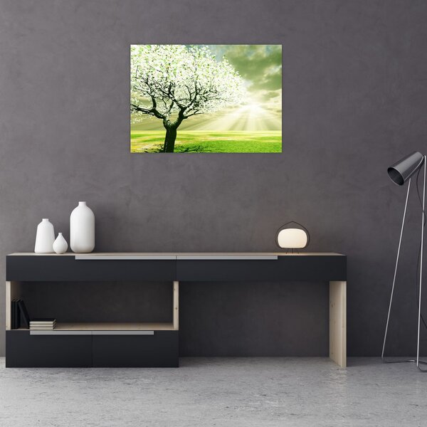 Tablou cu copaci pe luncă (70x50 cm)