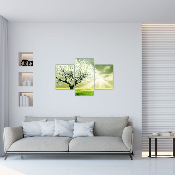 Tablou cu copaci pe luncă (90x60 cm)