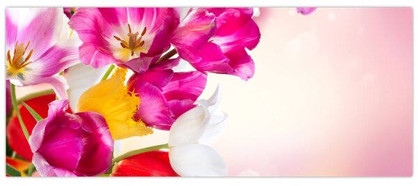 Tablou cu lalele (120x50 cm)