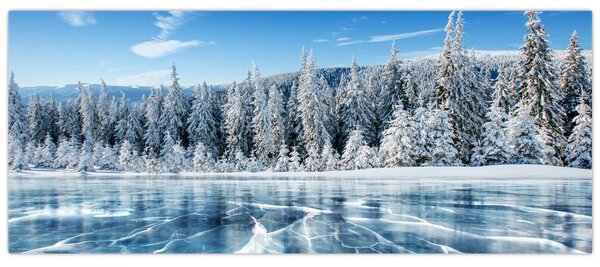 Tablou cu lacul înghețat și copacii înzăpeziți (120x50 cm)