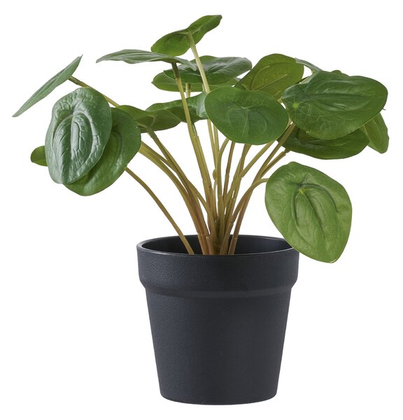 Plantă artificială Panselia (verde). 1147283
