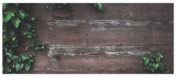 Tablou - Lederă (120x50 cm)