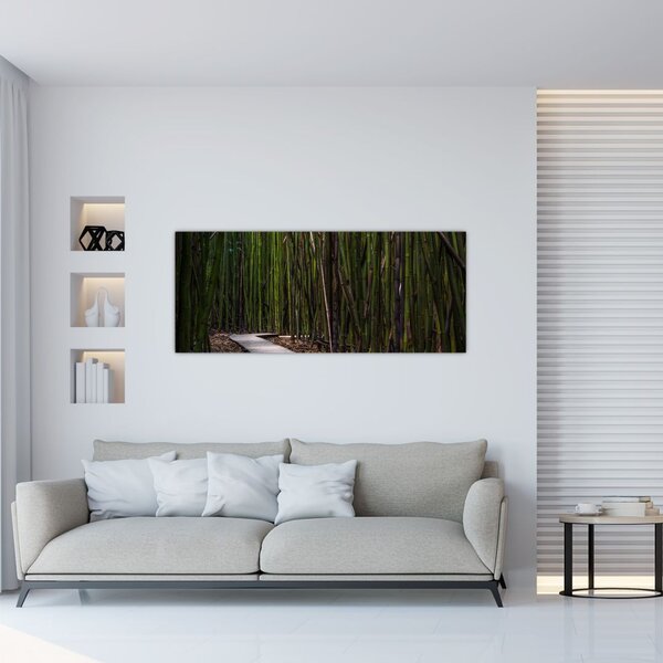 Tablou - Între bambus (120x50 cm)