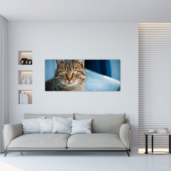 Tablou - Pisica domestică (120x50 cm)