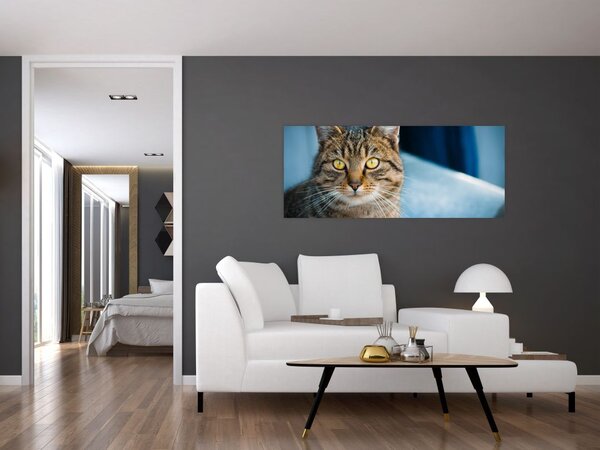 Tablou - Pisica domestică (120x50 cm)
