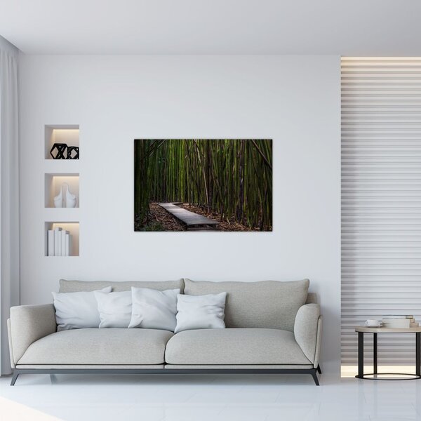 Tablou - Între bambus (90x60 cm)