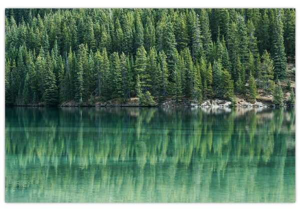 Tablou - Coniferi lângă lac (90x60 cm)