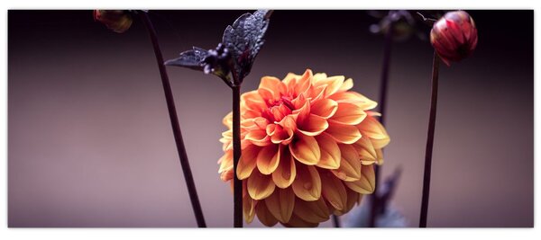 Tablou - Floare (120x50 cm)