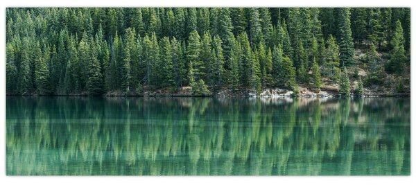 Tablou - Coniferi lângă lac (120x50 cm)