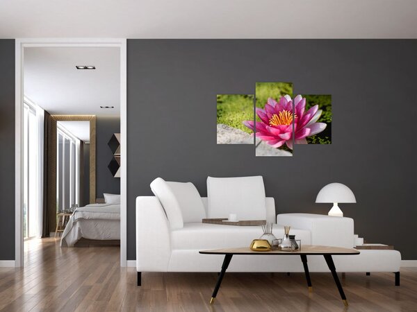 Tablou - Lotus (90x60 cm)