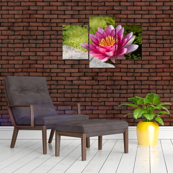 Tablou - Lotus (90x60 cm)