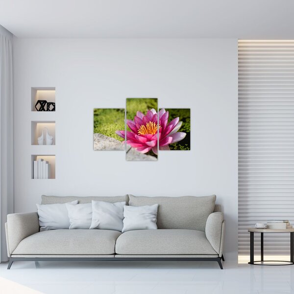 Tablou - Lotus (90x60 cm)