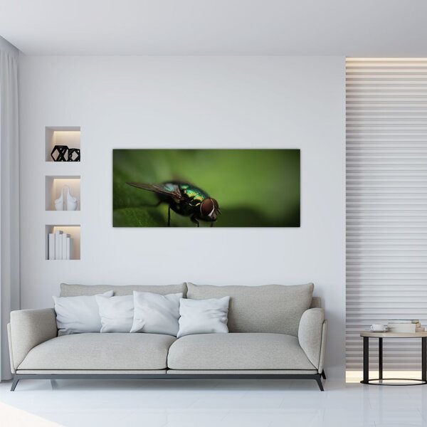 Tablou - Musca (120x50 cm)
