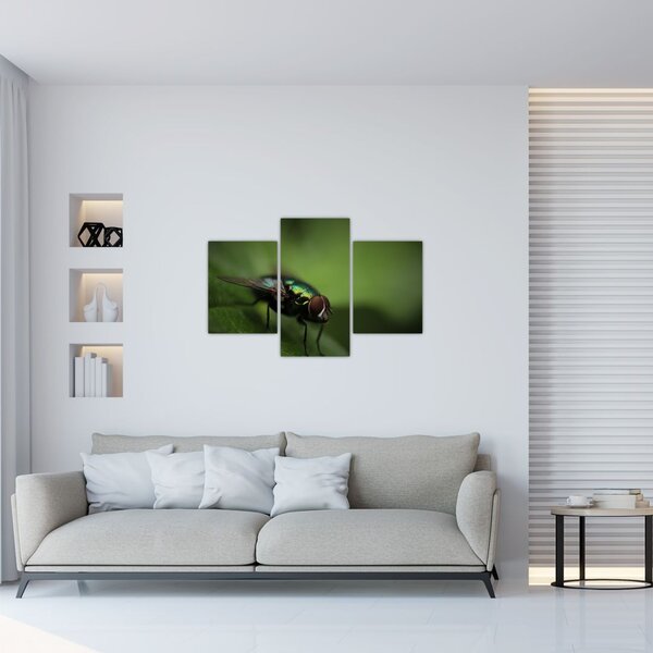 Tablou - Musca (90x60 cm)