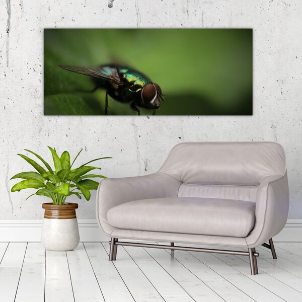 Tablou - Musca (120x50 cm)