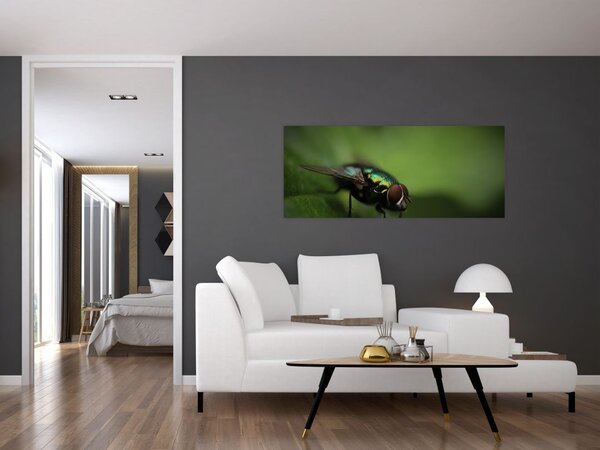 Tablou - Musca (120x50 cm)