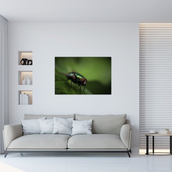 Tablou - Musca (90x60 cm)