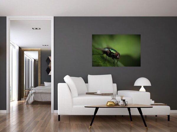 Tablou - Musca (90x60 cm)
