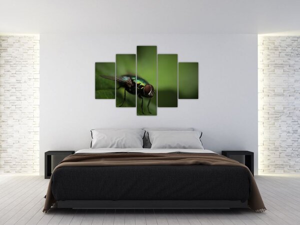 Tablou - Musca (150x105 cm)