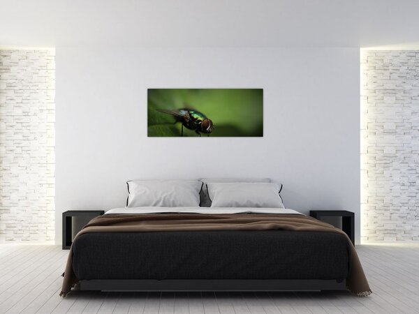 Tablou - Musca (120x50 cm)
