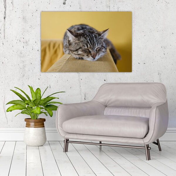 Tablou cu pisica pe fotoliu (90x60 cm)