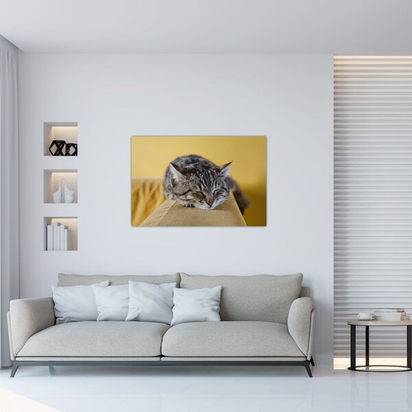 Tablou cu pisica pe fotoliu (90x60 cm)
