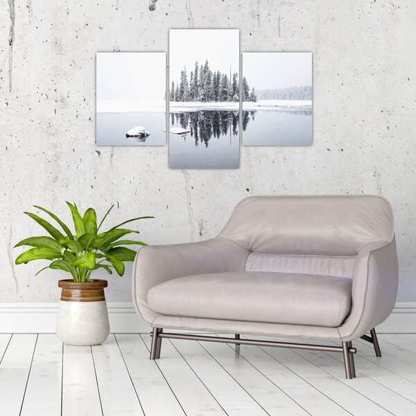 Tablou - A fost alb (90x60 cm)