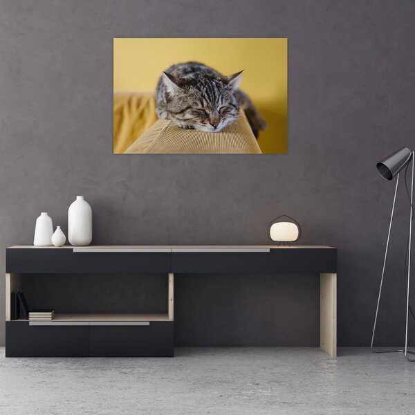 Tablou cu pisica pe fotoliu (90x60 cm)