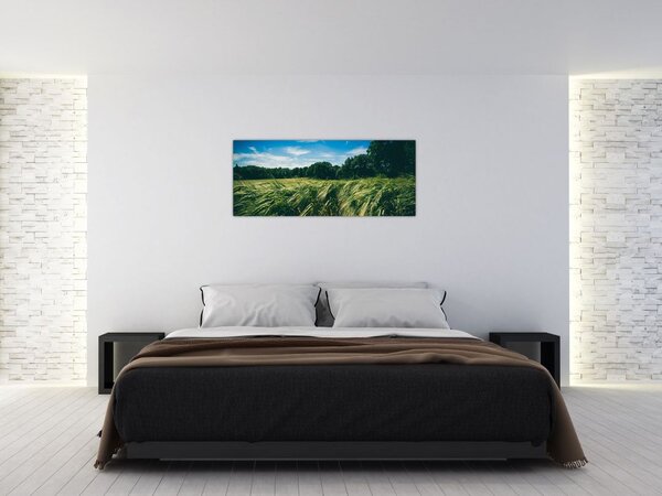 Tablou cu linca și pădure (120x50 cm)