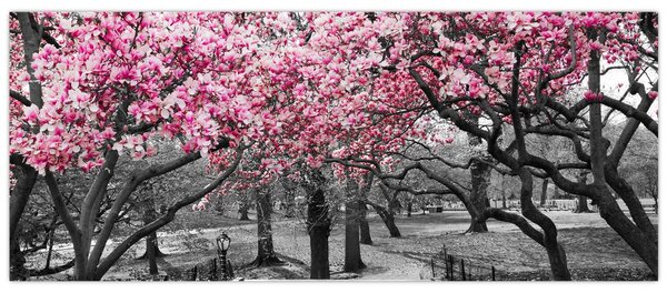 Tablou copacului magnolie (120x50 cm)