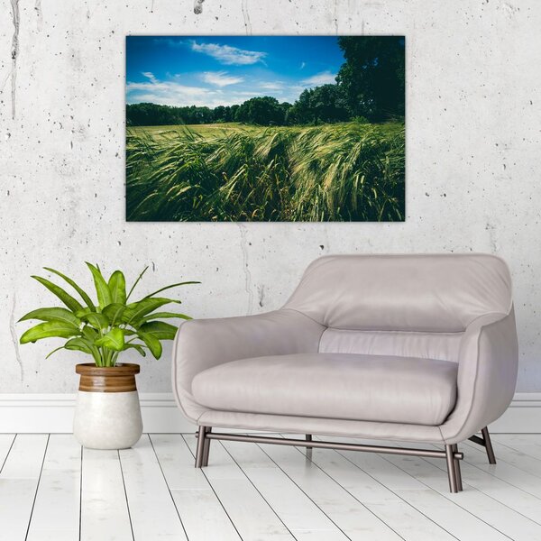 Tablou cu linca și pădure (90x60 cm)