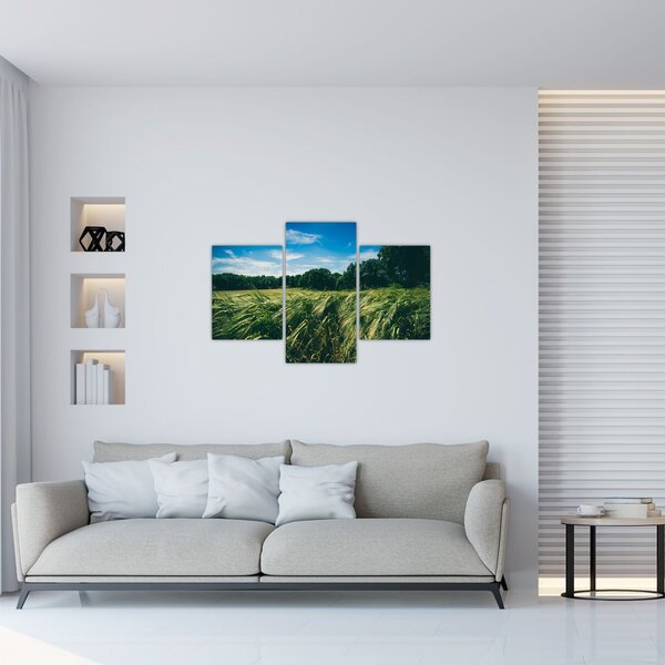 Tablou cu linca și pădure (90x60 cm)