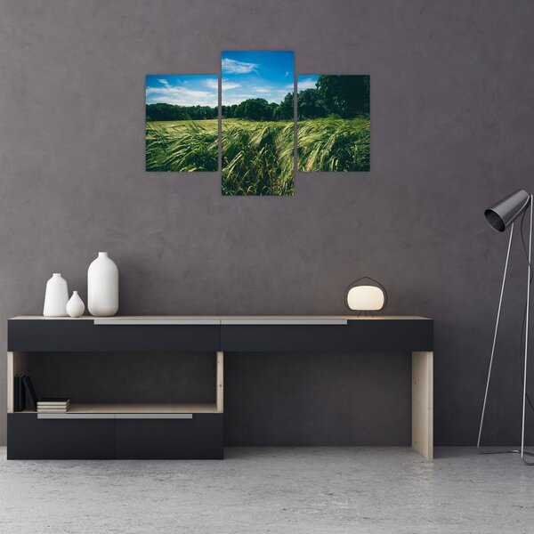 Tablou cu linca și pădure (90x60 cm)