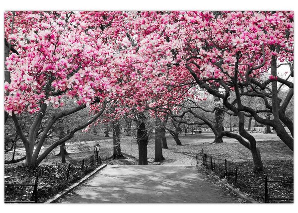 Tablou copacului magnolie (90x60 cm)