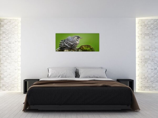 Tablou - Muscarul (120x50 cm)