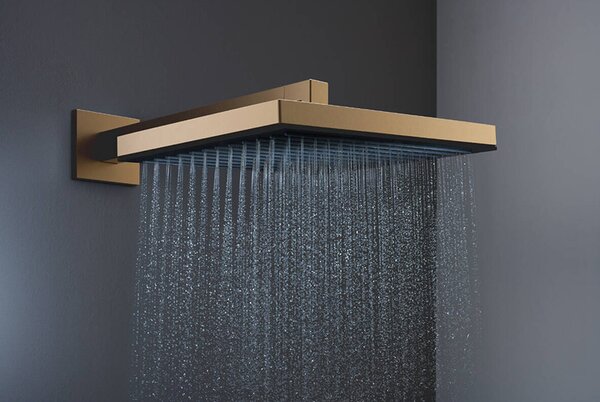 Palarie de dus, Hansgrohe, Pulsify E 260, 1 jet, bronz periat