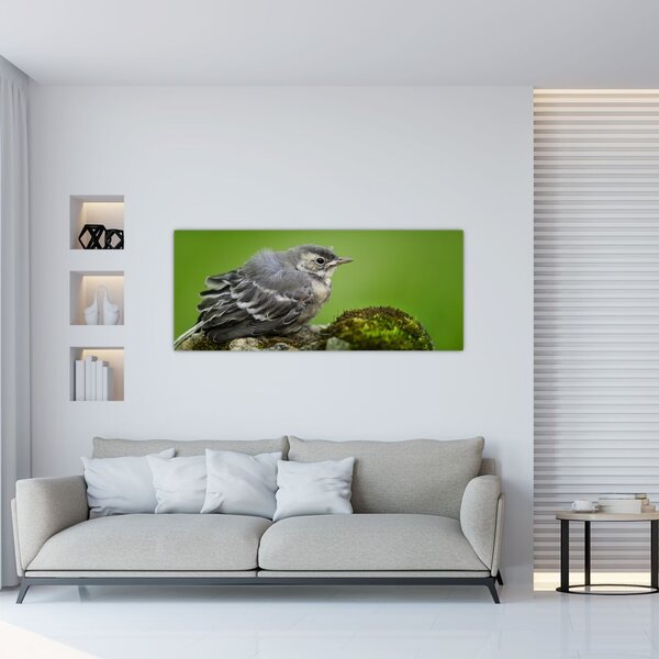 Tablou - Muscarul (120x50 cm)