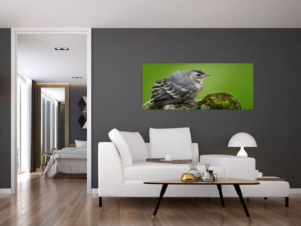 Tablou - Muscarul (120x50 cm)