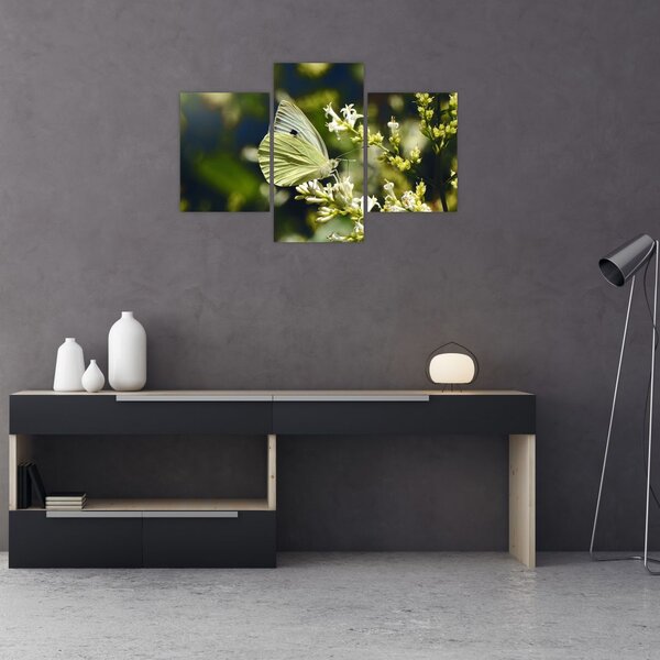 Tablou cu fluture (90x60 cm)