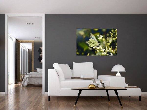 Tablou cu fluture (90x60 cm)